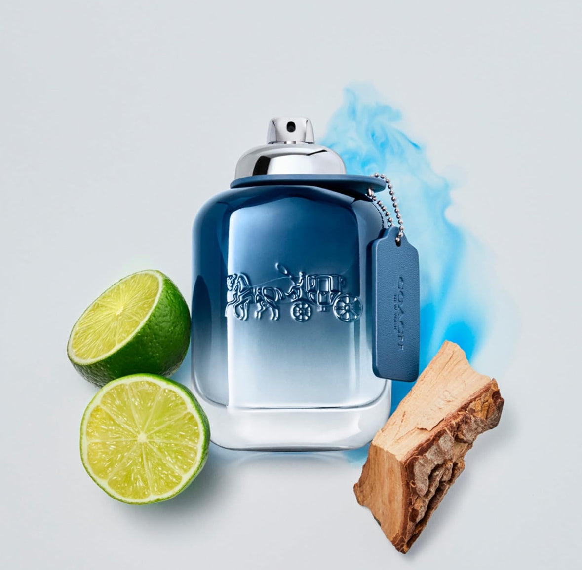 Coach Blue for Men Eau de Toilette 3.3 fl.oz.