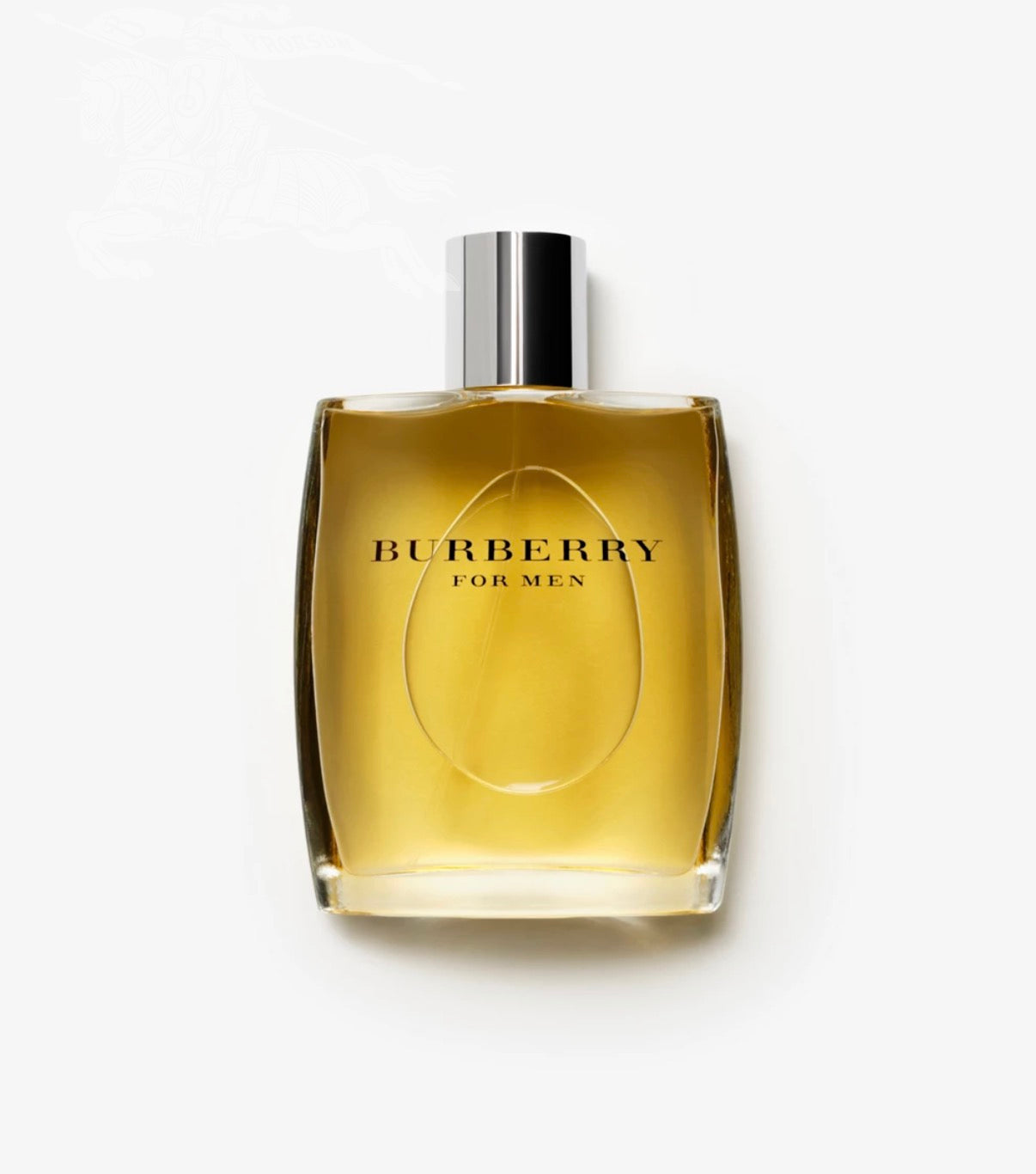 Burberry for Men Eau De Toilette 3.3 FL OZ SPR