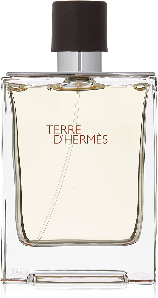 Terre D’ Hermes by Hermes 3.3 Eau De Toilette SPR For Men
