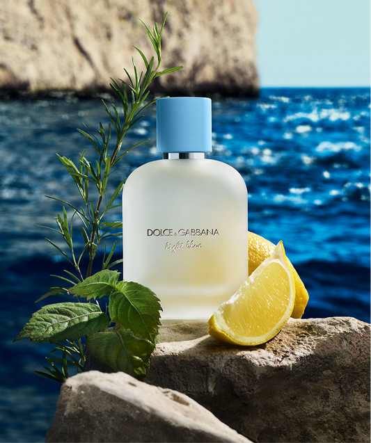 Dolce&Gabbana Light Blue Pour Homme Eau de Toilette for Men 3.3 fl.oz.
