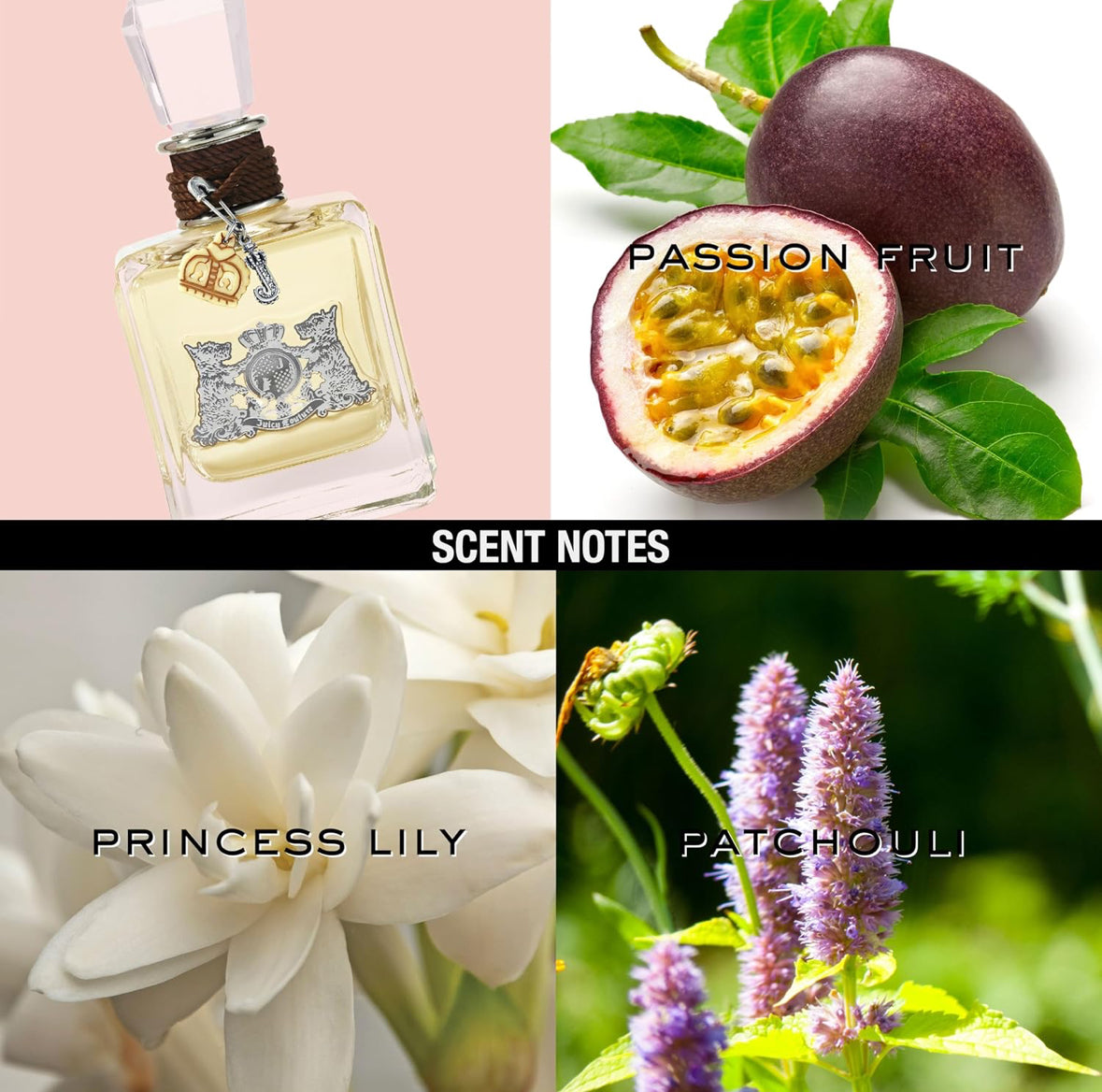 Juicy Couture 3.4 Eau De Parfum For Women