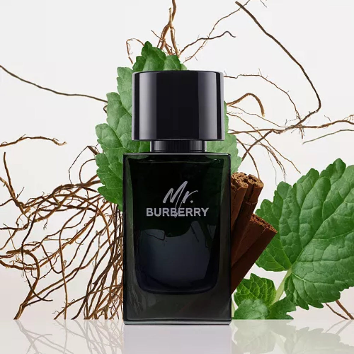 MR BURBERRY 3.3 Eau De Parfum Spray