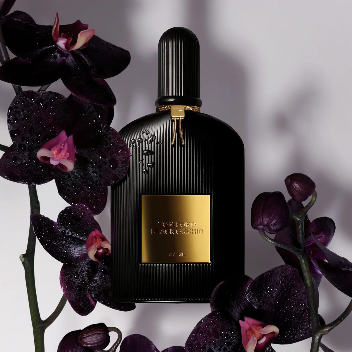 Tom Ford Black Orchid 3.4 Eau De Parfum SPR